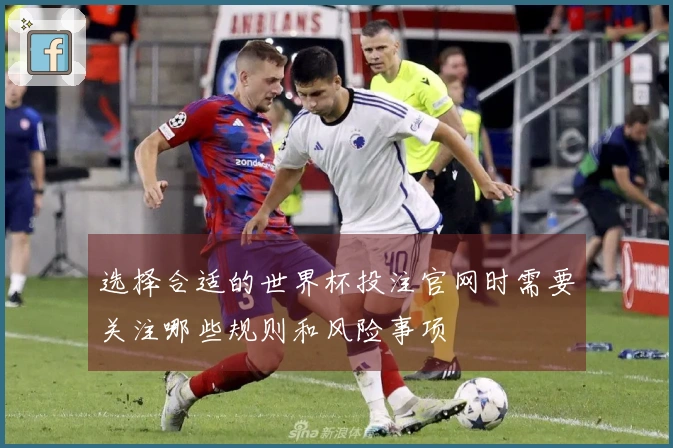 选择合适的世界杯投注官网时需要关注哪些规则和风险事项